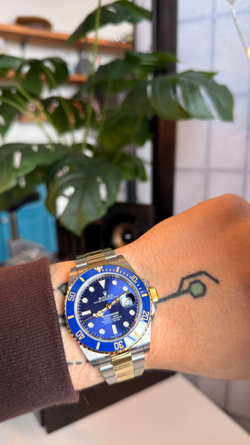 Blue two-tone diver — full watch view